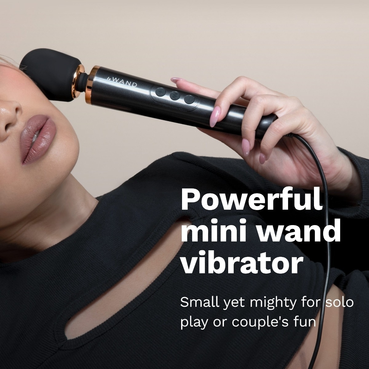 le-wand-black-powerful-petite-plug-in-massager-00.jpg